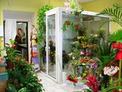 Květinárství Sedlčany