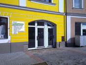 Vchodové dveře Nedroplast